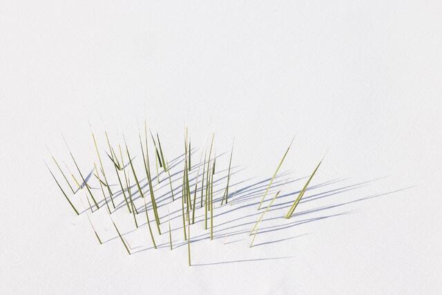 Spikes and Shadows