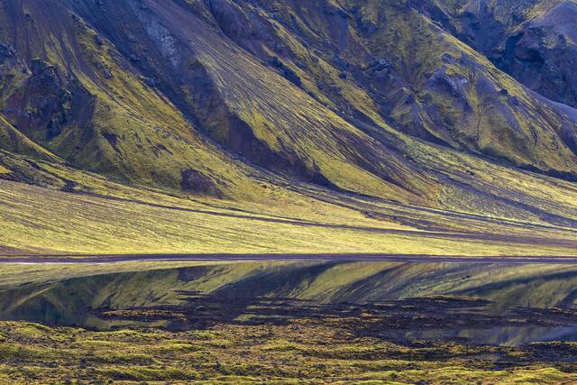 Moss-Covered Mountains