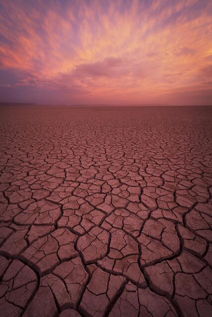 Desert Sunset 