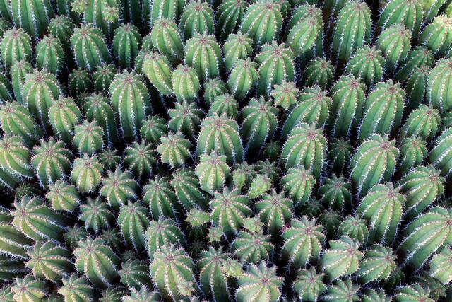 Spikes