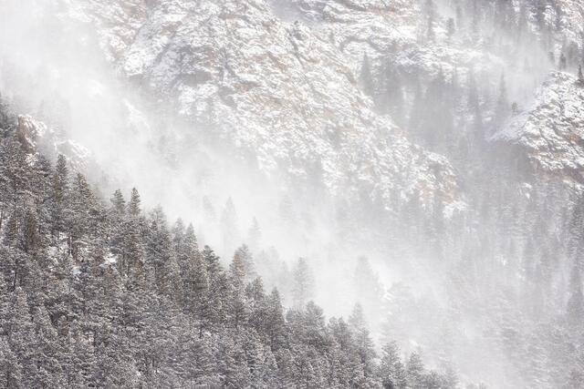 Snow Squall