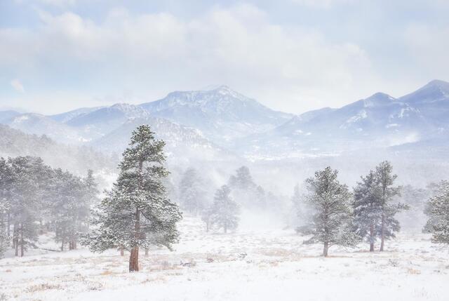 Snow Day