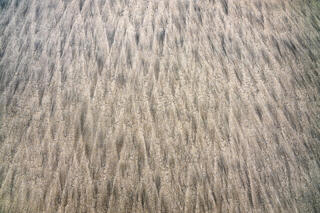 Sand Streaks