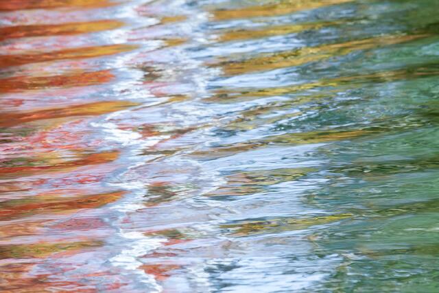 Mixed Palette