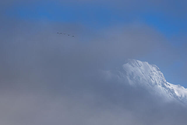 Scenic Flight