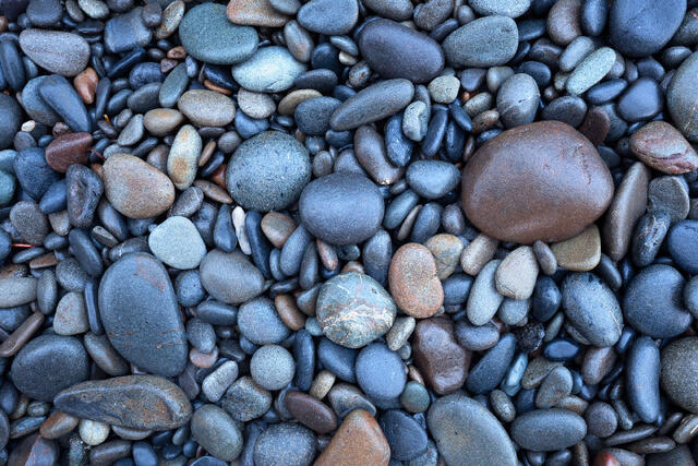 Sea Stones