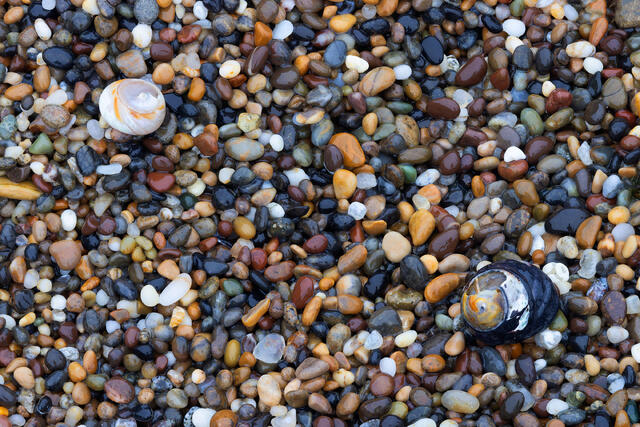 Shells and Sand