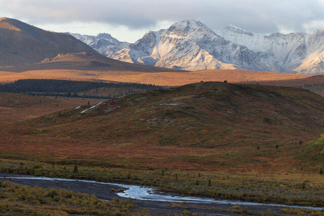 Small Tundra Big Mountain
