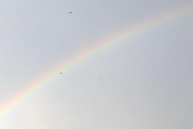 Spectrum Soaring
