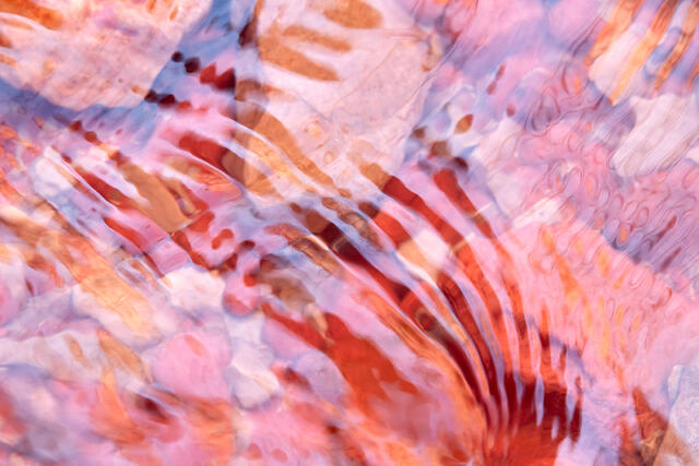 Splash of Color