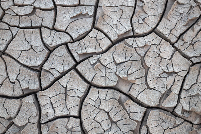 Surface Layer