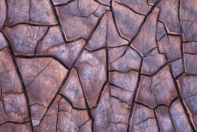 Triangled Mud