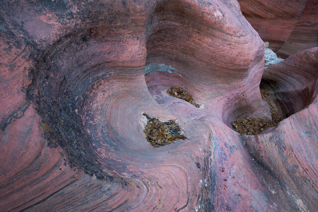 Twisted and Sculpted