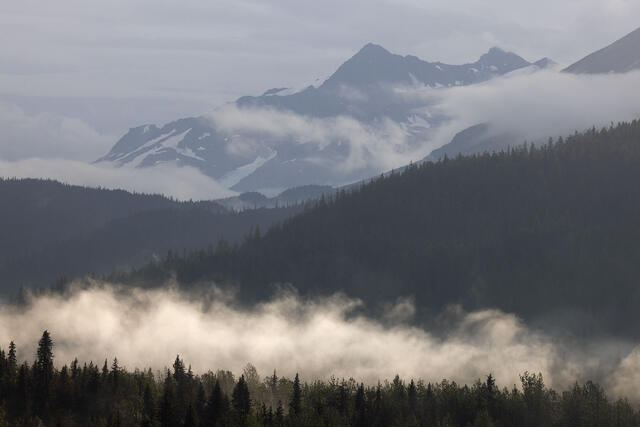 Valley Smoke