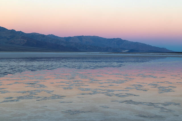 Venus Bubbles