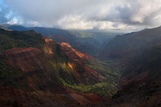 Waimea