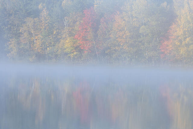Warm Fog