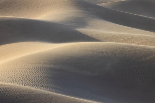Wind Sculpted