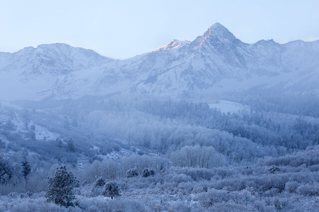 Winter Mist