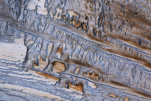 Wood Etchings