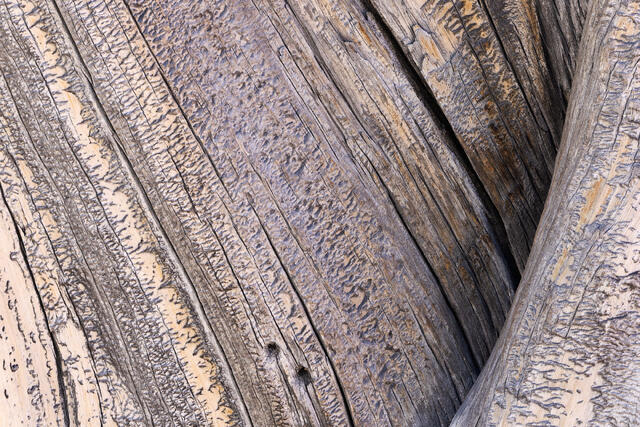 Wooden Folds