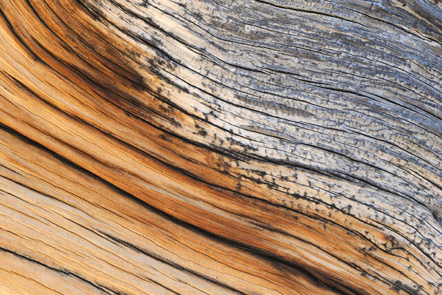 Wooden Waves