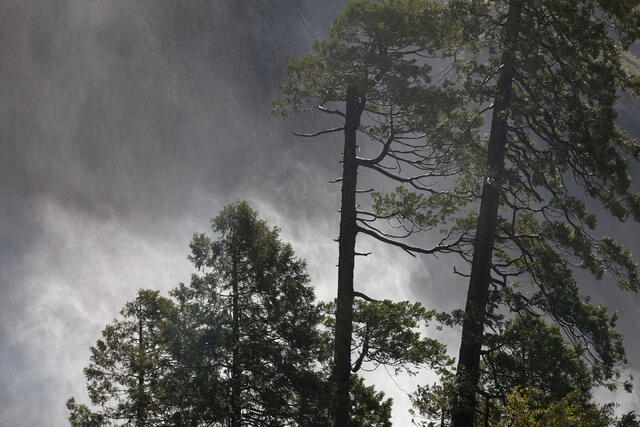 Yosemite Thunder