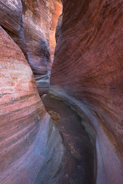 Zion Twist