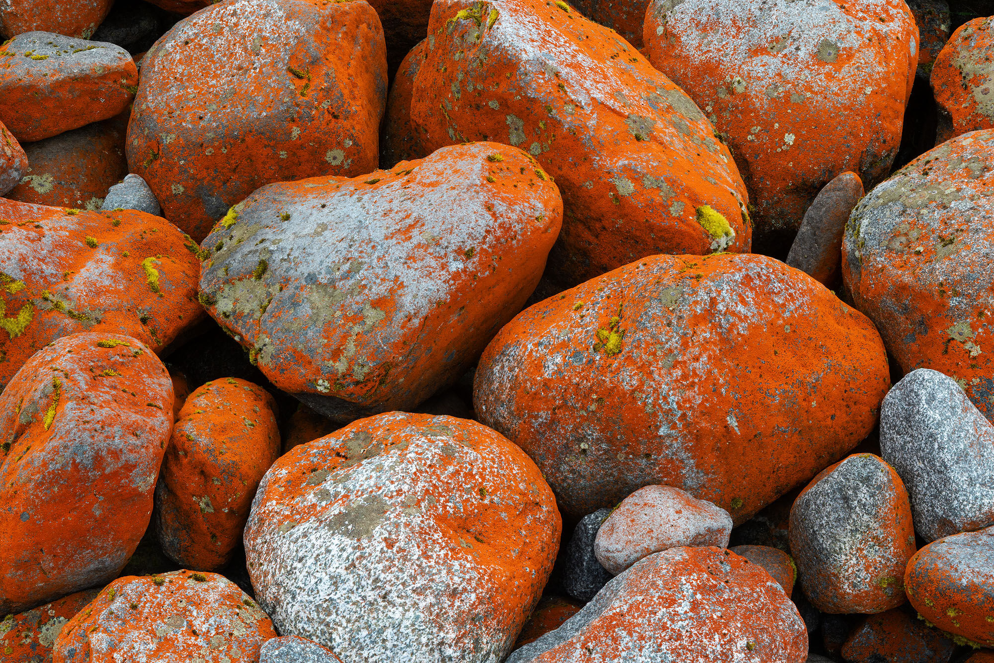 Orange Rocks