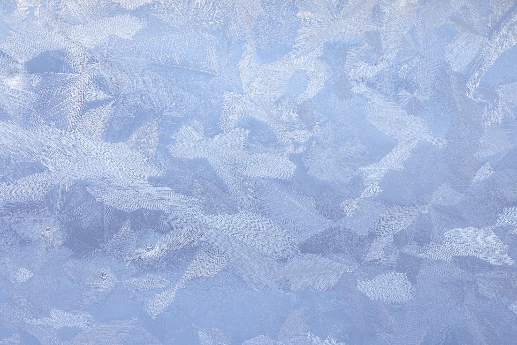 Deep Freeze: Revisiting Backyard Winter Ice Abstracts