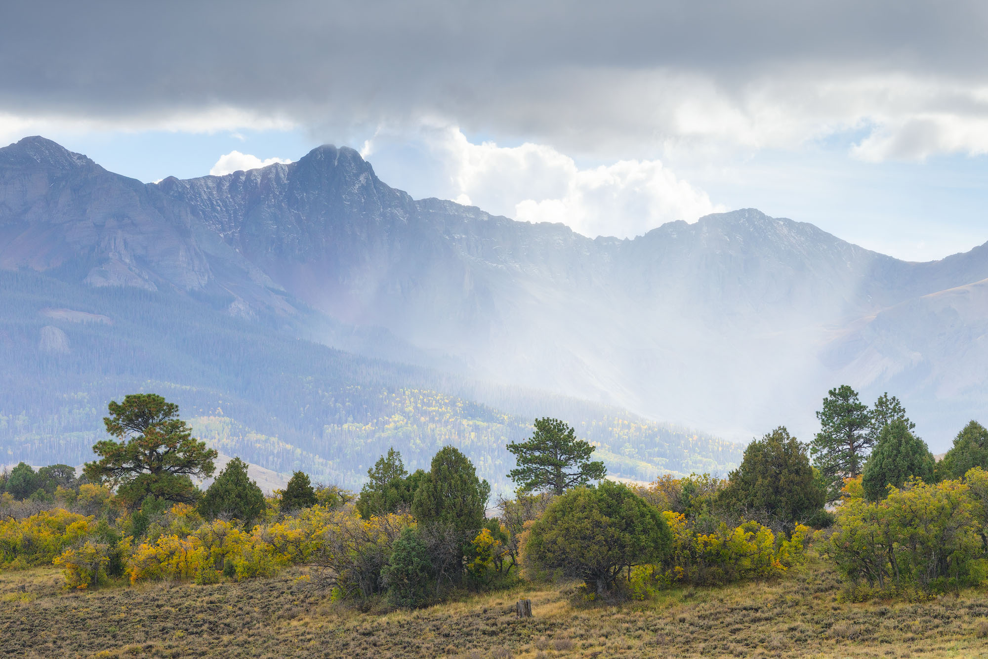 Approaching Storm A rain storm approaches this spot featuring stately ponderosa trees and autumnal Gambel oaks, with the sun shining through. San...