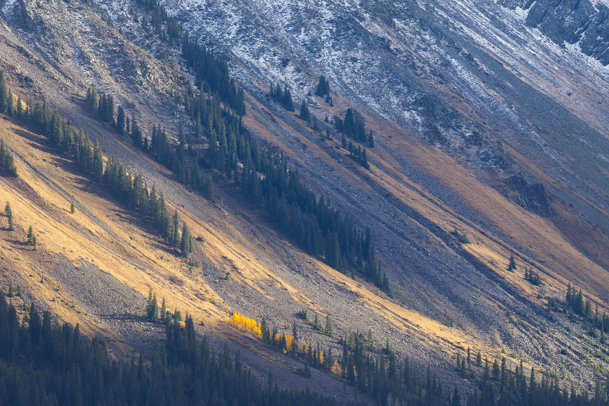 Sunlit Slopes, Mount Sneffels Dappled light shines on the western slopes of Mount Sneffels, illuminating a small batch of autumnal aspens. San Juan Mountains...