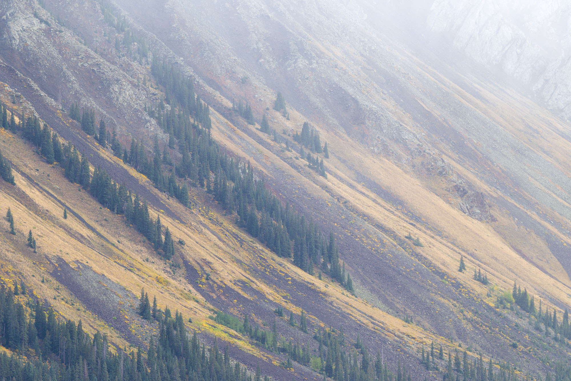 Steep Slopes, Mount Sneffels Bands of trees on the lower flanks of Mount Sneffels in Colorado's San Juan Mountains.