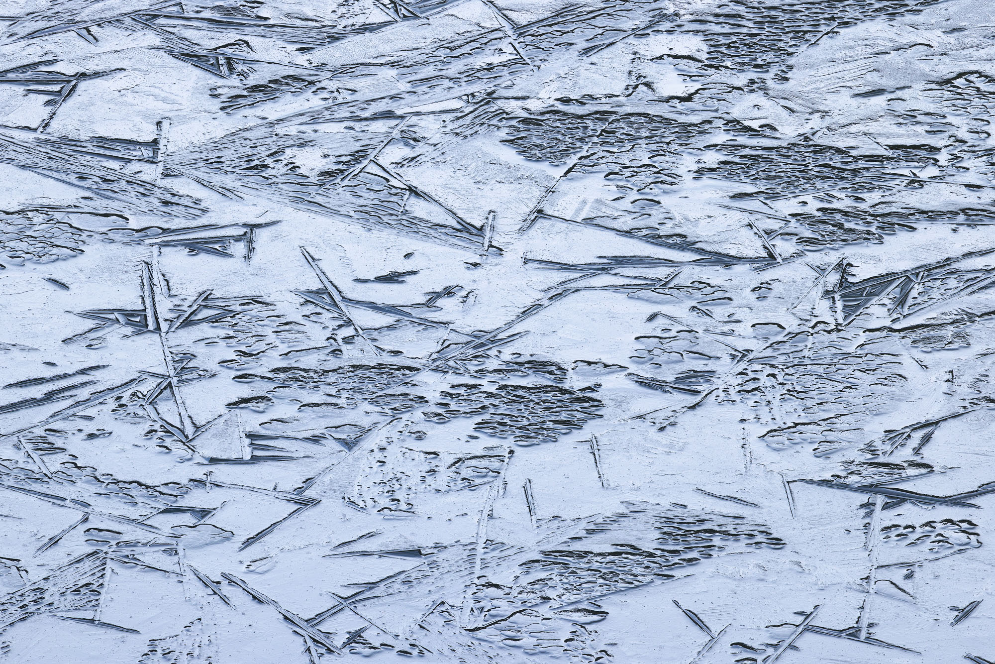 Early Autumn Ice A thin layer of ice forms into interesting patterns after a cold early autumn evening. San Juan Mountains, Colorado.