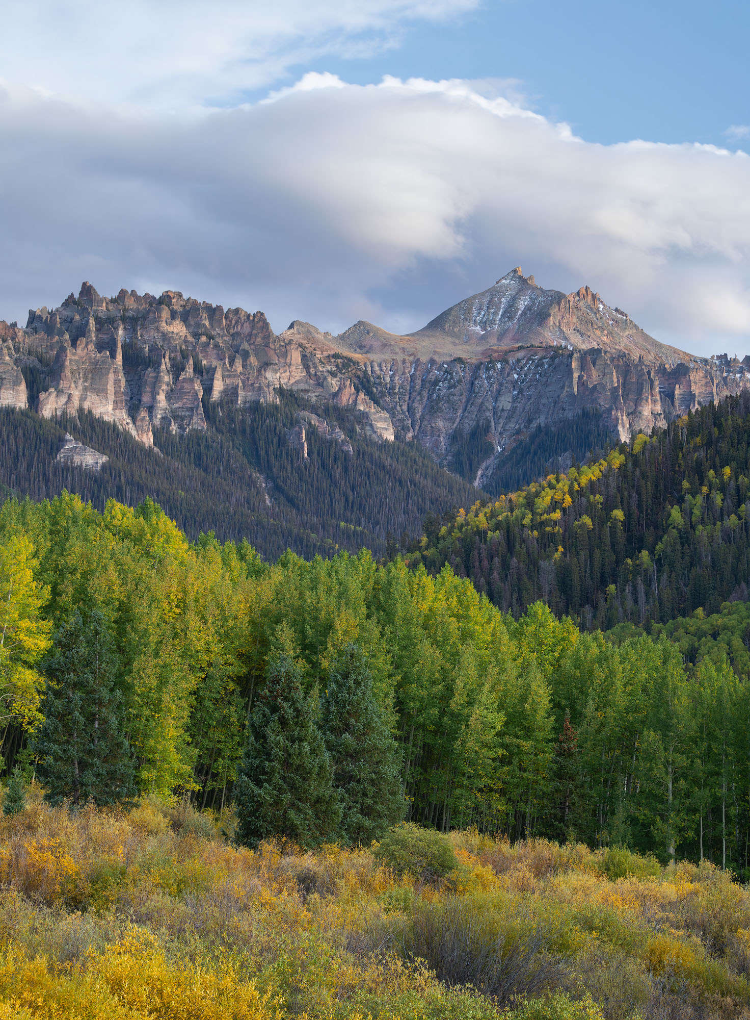 Early Autumn Aspens Below the Cimarron Mountains Aspens and willows, just starting to change in early autumn, below the jagged Cimarron Mountains in southwestern Colorado at...