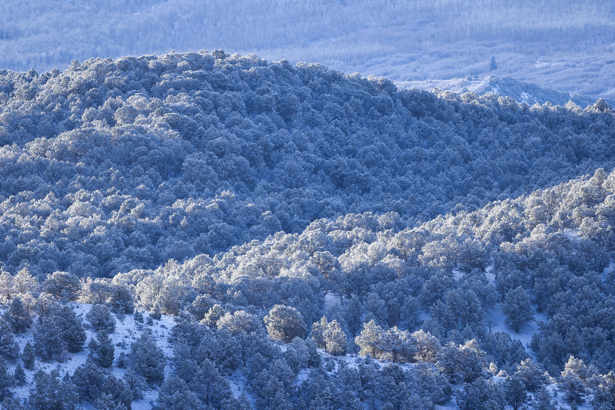 Rolling Foothills in Winter Rolling hills below Colorado's San Juan Mountains, with a light coat of winter snow.