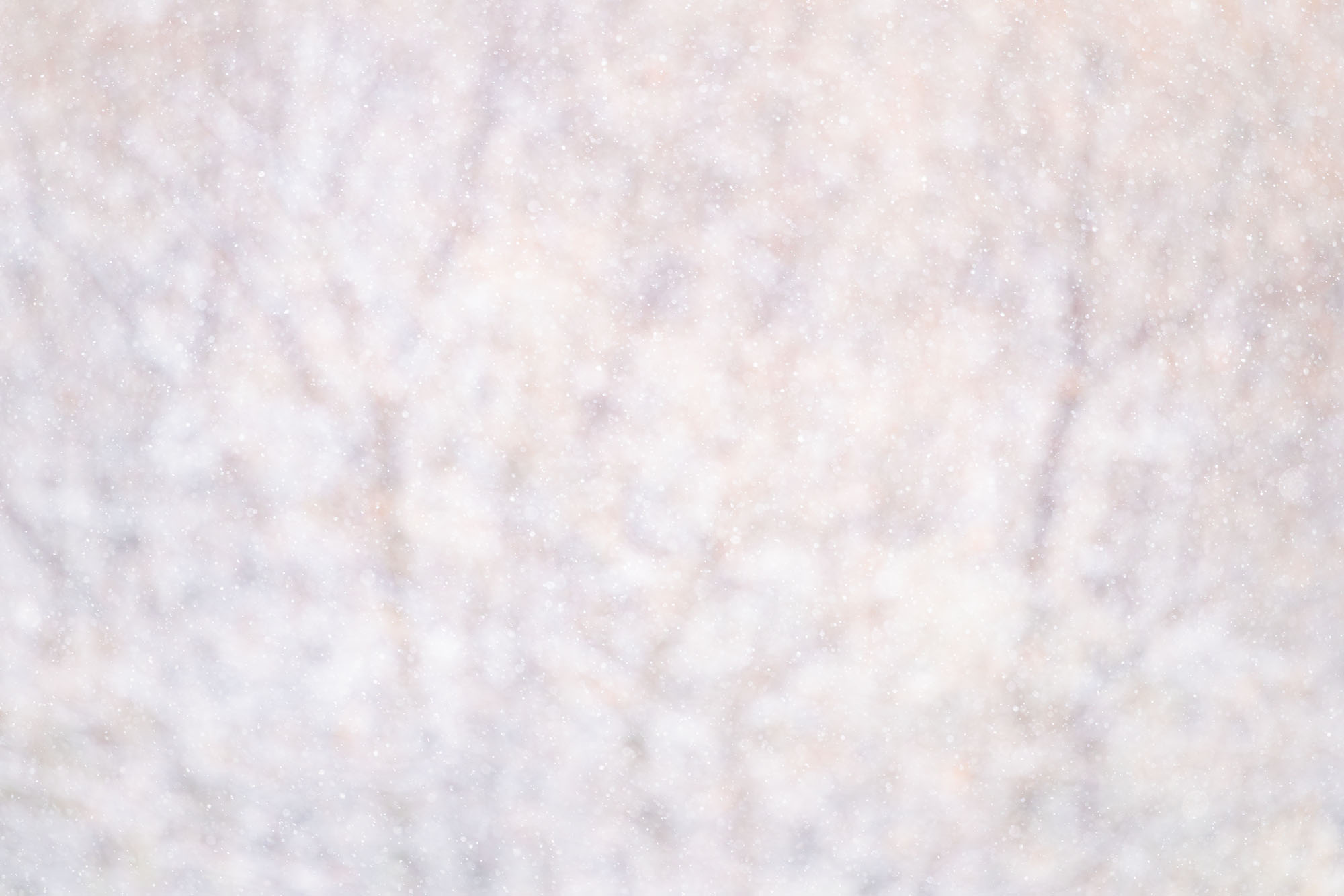 Gentle Snow An abstract take on gentle snow falling in a Gambel oak grove in southwestern Colorado.