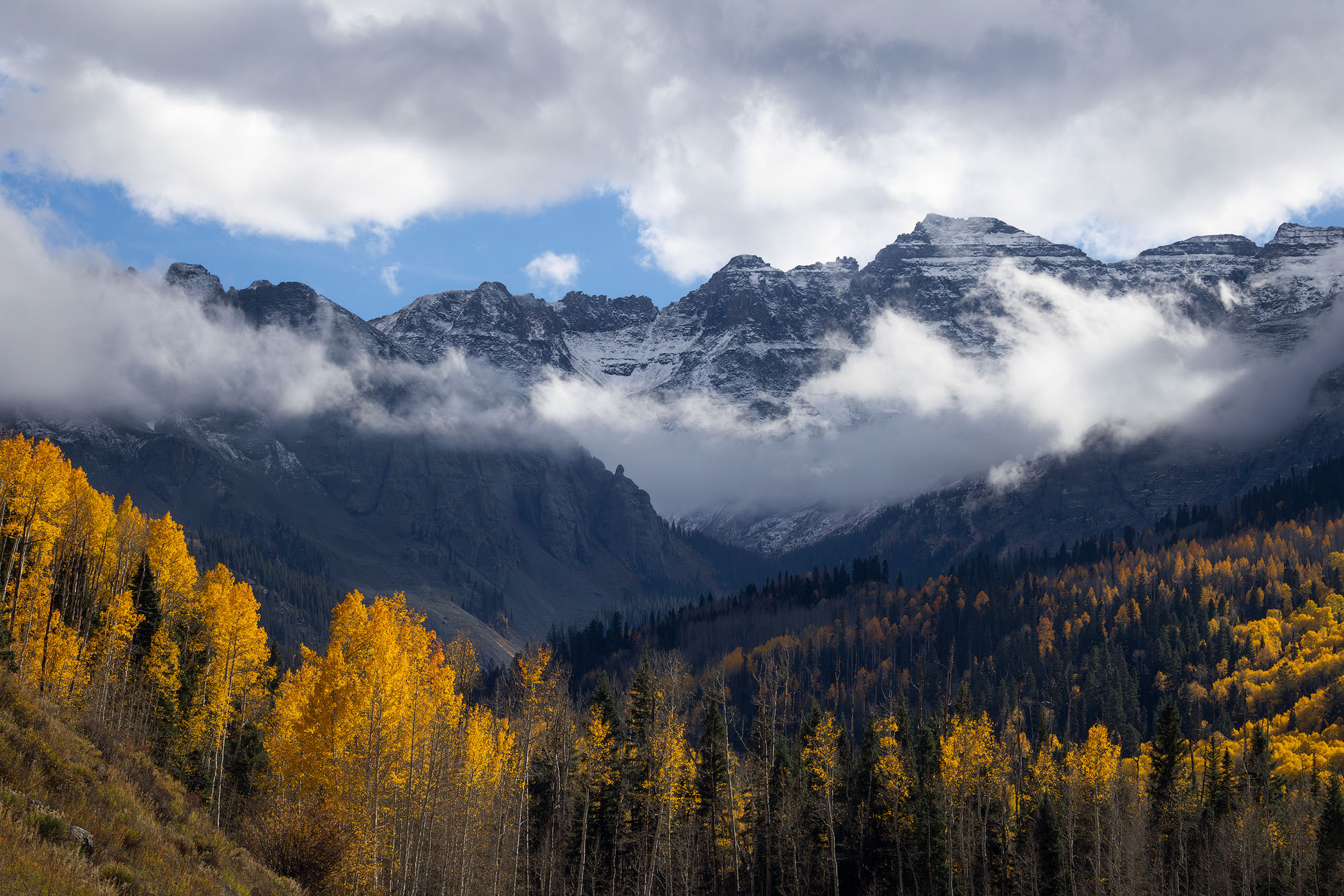 Autumn Aspens Below the Sneffels Range A storm clears over the Sneffels Range, above autumnal aspens and willows. San Juan Mountains of Colorado. REASON FOR REJECTION...