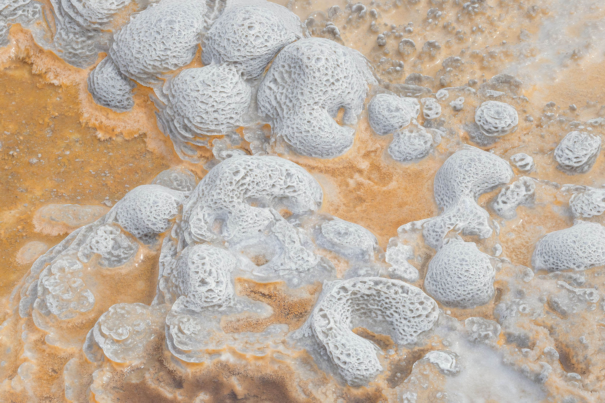 Intricate patterns on the edge of a geothermal pool in Yellowstone National Park.