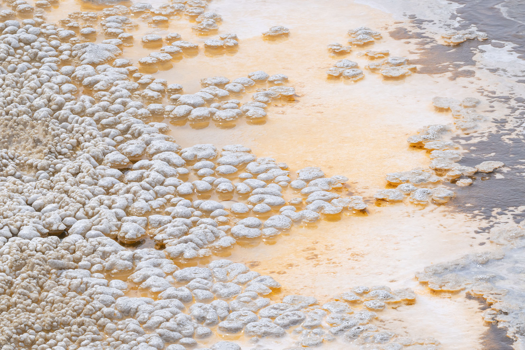 Intricate patterns on the edge of a geothermal pool in Yellowstone National Park.